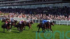 Wild Tiger roars for Saeed bin Suroor in Royal Hunt Cup