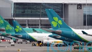 Aer Lingus cuts flights amid &lsquo;insidious&rsquo; industrial action