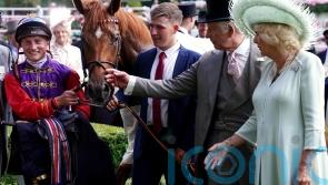 Desert aiming to be Royal Ascot Hero again