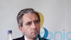 &lsquo;More to do&rsquo; to maintain peace and improve Anglo-Irish relations &ndash; Irish premier