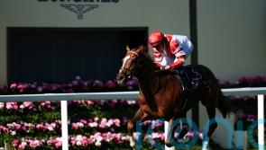 Hand Of God scores Golden Gates winner for Harry Charlton