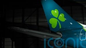 Irish premier urges Aer Lingus and pilots to &lsquo;dig deep&rsquo; and resolve dispute