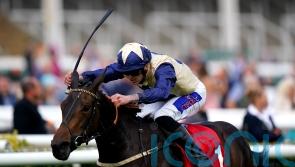 Darnation back on home ground for Hoppings assignment