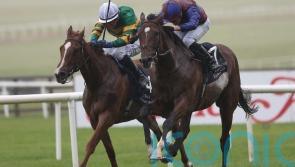 Jan Brueghel boosts Leger prospects with International win