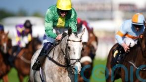 Belloccio could be set for Supreme adventure after hurdling return at Galway