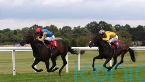 Aesterius scorches Sandown turf in Dragon Stakes