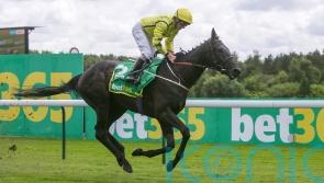 Align The Stars shines to demonstrate his promise at Haydock