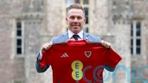 New Wales boss Craig Bellamy out to prove concerns over temperament unfounded