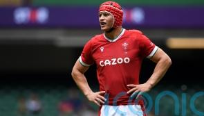 Wales recall Sir Ian Botham&rsquo;s grandson James in bid to salvage Australia series