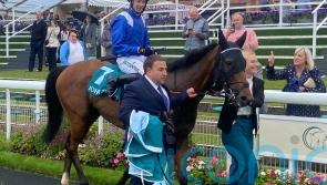 Enfjaar just too good for John Smith&rsquo;s Cup rivals