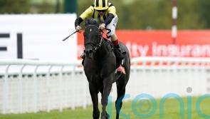 Vandeek camp buoyed by performance of &lsquo;great credit&rsquo;