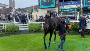 Starlust comes home strongly to land City Walls win
