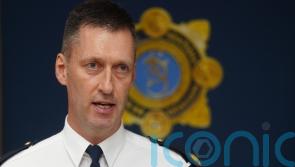 Gardai seize 18 firearms during operation in Co Louth