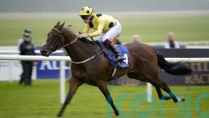 Poet Master leads the way for Burke in Minstrel Stakes