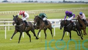 Royal reward for James Tate at the Curragh