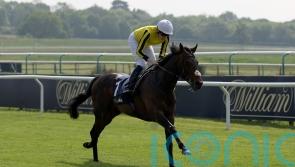 Gredleys determined to enjoy Ambiente Friendly, with Juddmonte next stop