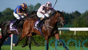 Hotazhell burns off Tyros rivals to land Leopardstown spoils