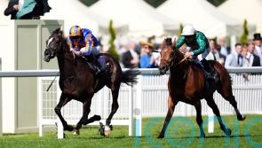 Zarakem has sights set on York before Prix de l&rsquo;Arc de Triomphe bid