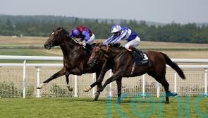 Jan Brueghel stakes Leger claim with gutsy Gordon Stakes win