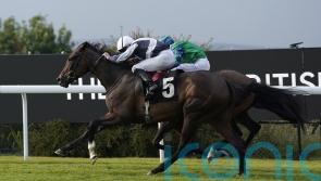 Dreamy start at Goodwood for O&rsquo;Brien newcomer