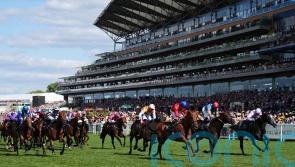 Dark Trooper searching for Wokingham compensation in Stewards&rsquo; Cup