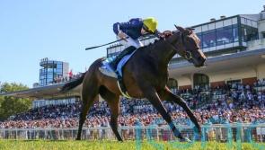 Deauville double to tee-up Mqse De Sevigne Arc swansong