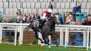 Jasour making good progress after being forced out of Goodwood