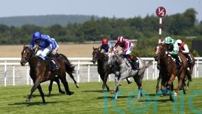 Exciting options open to Wolf Of Badenoch after Goodwood