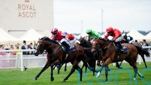 Bradsell back to his flying best at Deauville