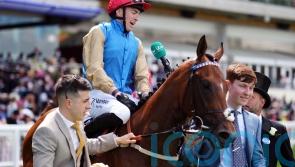 James Doyle to ride work with Shareholder as Prix Morny preparations step up