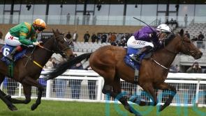 Murray bidding to retain Phoenix trophy with Arizona Blaze