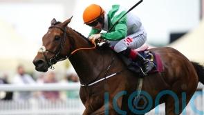 Crystal Black out to extend winning run at Leopardstown