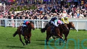 Haatem camp hopeful Deauville setback was only minor