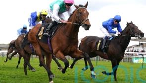 Kikkuli could look to get back on track in Hungerford