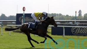 &lsquo;Everyone is so happy with him&rsquo; &ndash; Ambiente Friendly team counting down to York