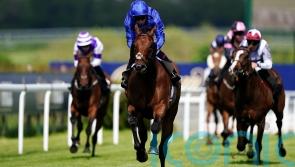 Wild Tiger set to hunt for Bahrain riches this winter