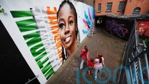 Adeleke mural features in Waterford street art festival