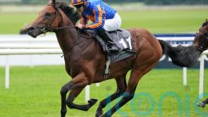 Ruling Court and The Lion In Winter in line to clash at York