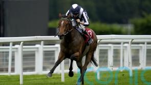 Plans on hold for Celestial Orbit after setback