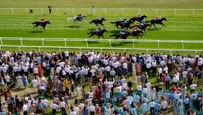 Lethal Levi Ayr Gold Cup bound after game Newbury win