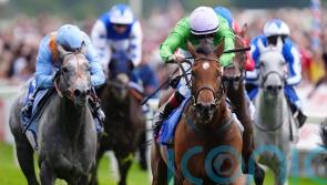 Breege springs 33-1 surprise in City of York