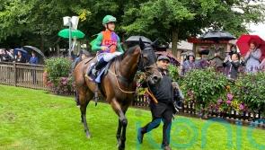 Williams eyeing international options for Hopeful hero Quinault