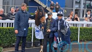 Shandy proves the toast of Naas after big Ballyogan upset