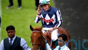 Lake Forest lined up for Haydock or Doncaster redemption