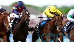 Varian favouring Sun Chariot date for Elmalka