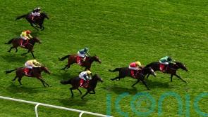 Tutty backing Blue Storm to make Bullet impact