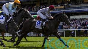 Simmering camp have sights set on Paris and Del Mar