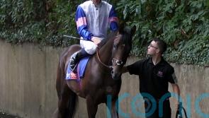 Top-level assignments on the radar for Matauri Bay