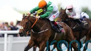 Setback ends Melbourne Cup dreams for Crystal Black this year