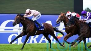 Superior chance for lightly-raced Cicero&rsquo;s Gift